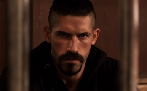 Portrait de Youri Boyka