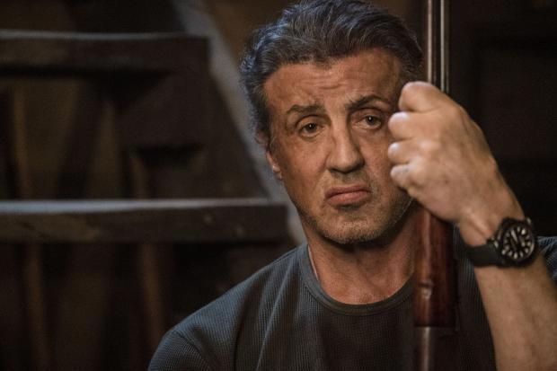 Portrait de Shane Hammer