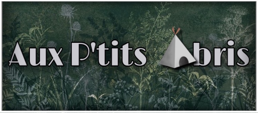 Illustration de Aux P’tits Abris